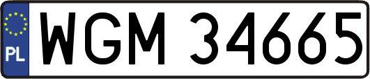 WGM34665