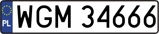 WGM34666