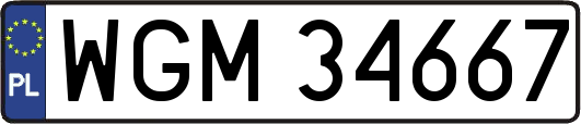 WGM34667