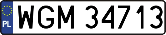 WGM34713