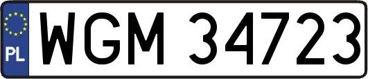 WGM34723