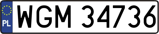 WGM34736