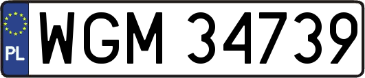 WGM34739