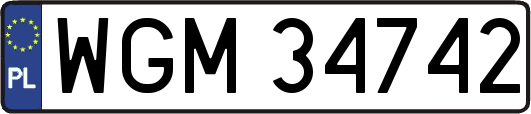 WGM34742