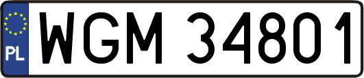 WGM34801