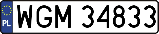 WGM34833