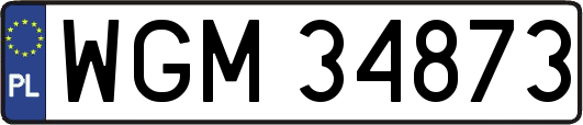 WGM34873