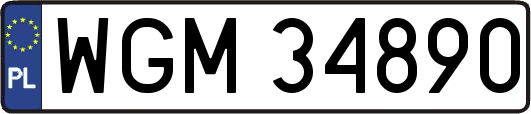 WGM34890