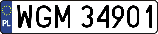 WGM34901