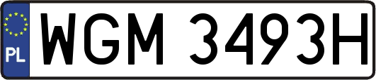 WGM3493H