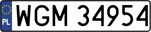 WGM34954