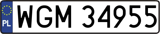 WGM34955