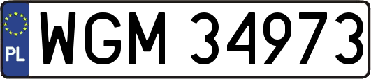 WGM34973