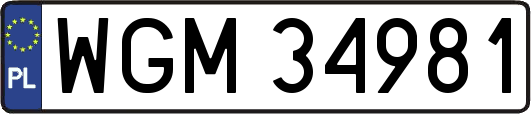 WGM34981