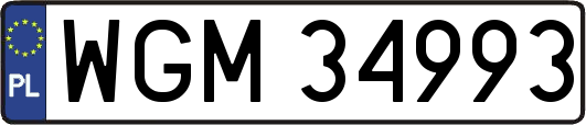 WGM34993
