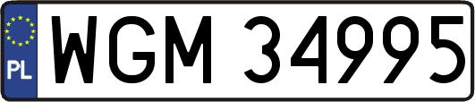WGM34995