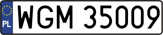 WGM35009