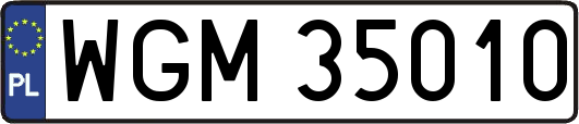 WGM35010