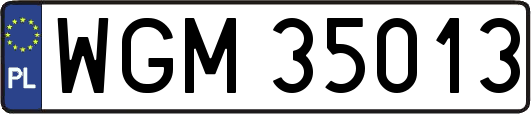 WGM35013