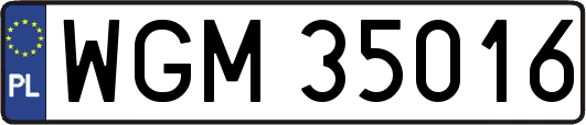 WGM35016