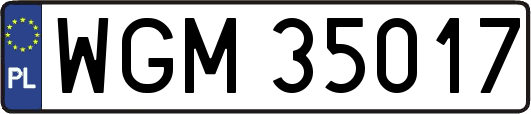 WGM35017