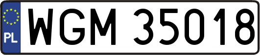 WGM35018