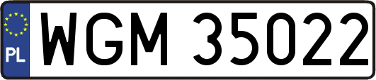 WGM35022