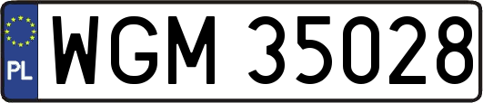 WGM35028
