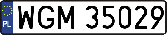 WGM35029