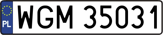 WGM35031