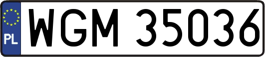 WGM35036