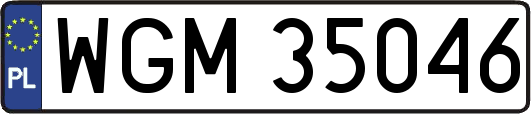 WGM35046