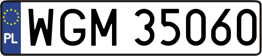 WGM35060