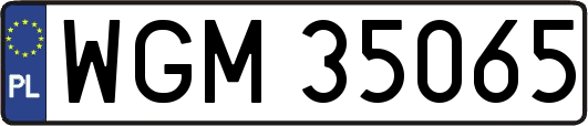 WGM35065