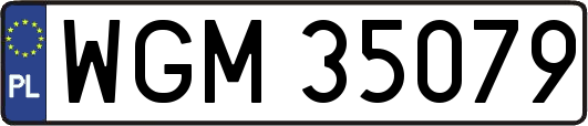 WGM35079