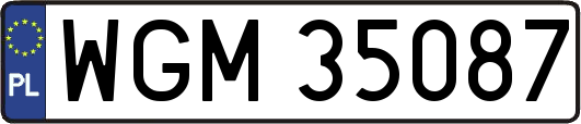 WGM35087