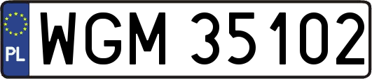 WGM35102
