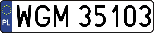 WGM35103