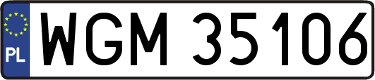 WGM35106