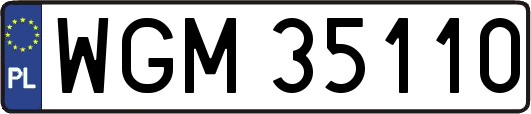WGM35110