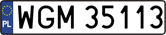 WGM35113