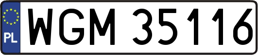 WGM35116