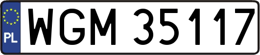 WGM35117