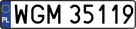 WGM35119