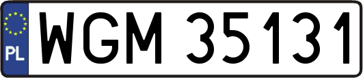 WGM35131