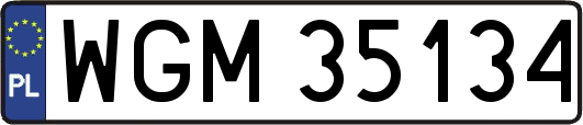 WGM35134