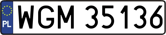 WGM35136