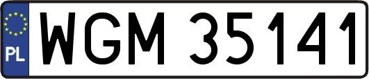 WGM35141