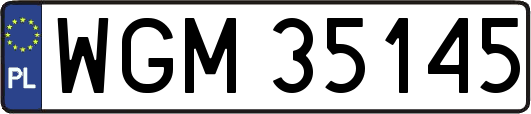 WGM35145