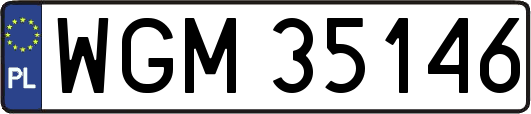 WGM35146